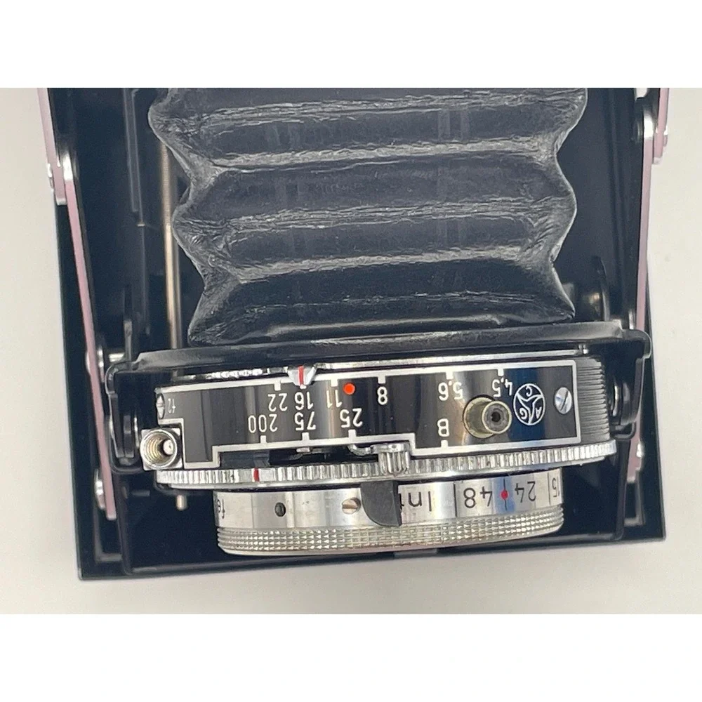 Zeiss Ikon Nettar 517/16 6x6 Medium Format Folding Camera Novar 75mm f/4.5 Vario